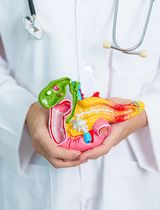 Diabetes verstehen: Die zentrale Rolle der Bauchspeicheldrüse