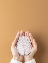 Darm-Hirn-Achse: Neue Erkenntnisse zu chronischer Müdigkeit